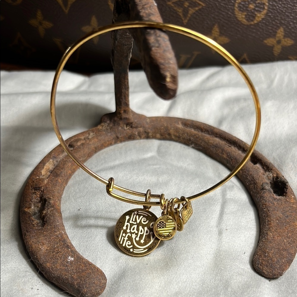 Alex and Ani Gold Bracelet with Charms